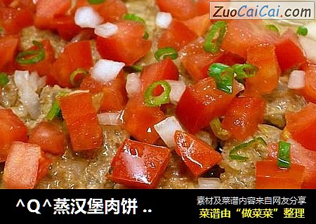-_-蒸汉堡肉饼☆蒸肉饼12