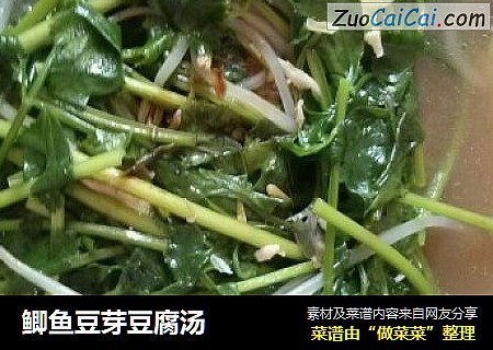 鲫鱼豆芽豆腐汤