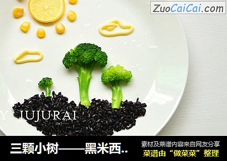 三颗小树——黑米西兰花