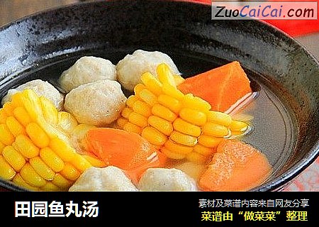 田园鱼丸汤