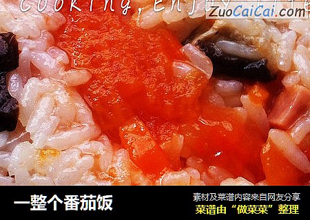 一整个番茄饭