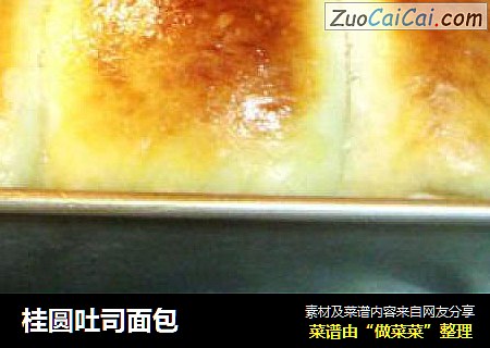 桂圆吐司面包