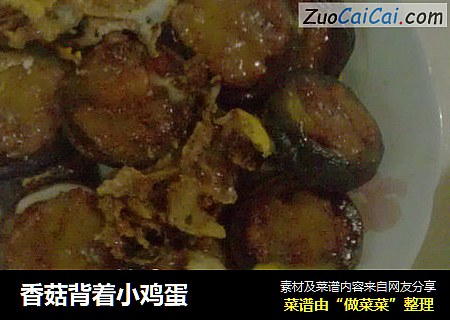 香菇背着小鸡蛋