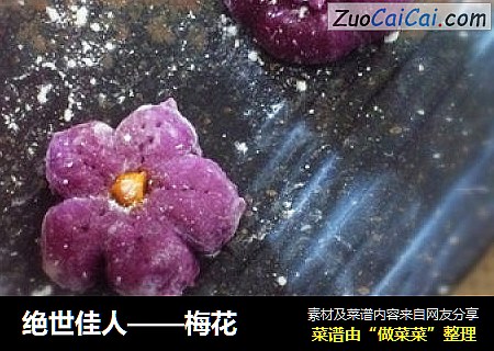 绝世佳人——梅花
