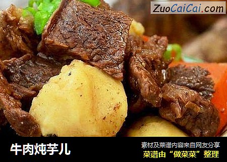 牛肉炖芋儿