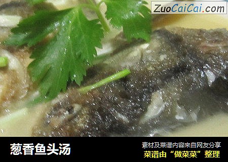 葱香鱼头汤
