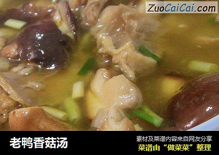 老鸭香菇汤