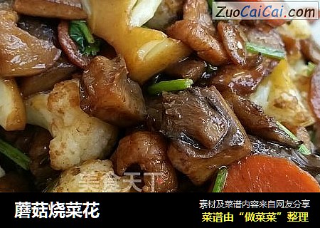 蘑菇烧菜花