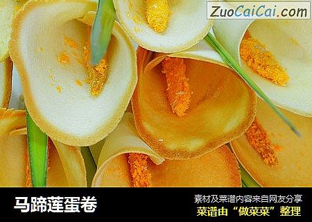 马蹄莲蛋卷