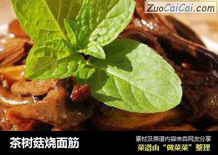 茶树菇烧面筋