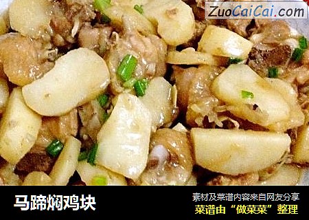 马蹄焖鸡块