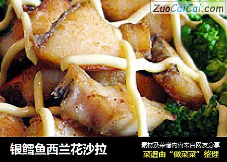 银鳕鱼西兰花沙拉