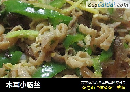 木耳小肠丝