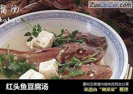 红头鱼豆腐汤