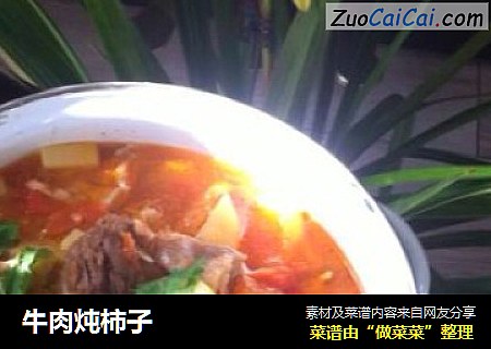 牛肉炖柿子