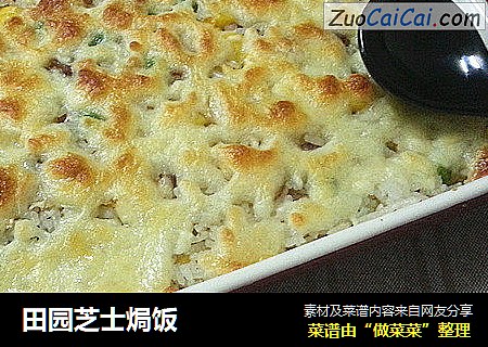 田园芝士焗饭