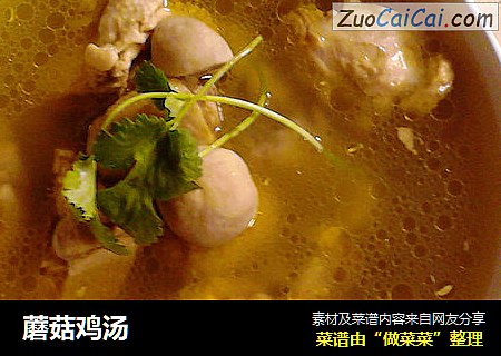 蘑菇鸡汤