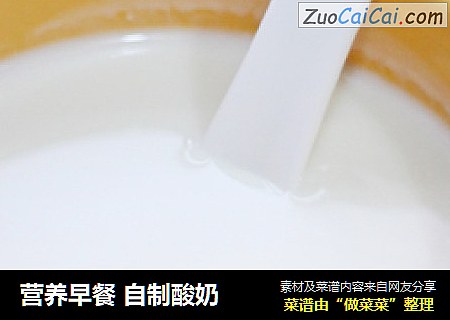 营养早餐 自制酸奶