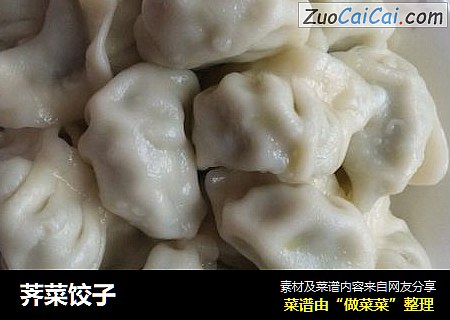 荠菜饺子