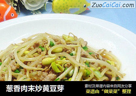 葱香肉末炒黄豆芽