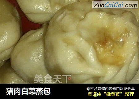 猪肉白菜蒸包