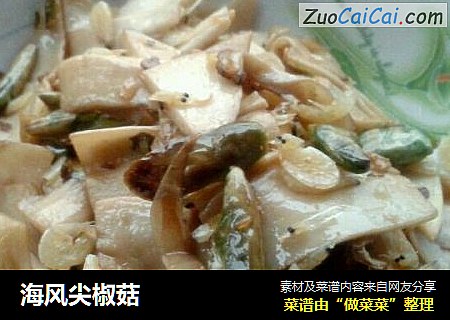 海风尖椒菇