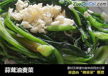 蒜茸油麦菜