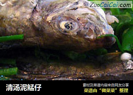 清汤泥鯭仔