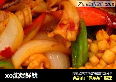 xo酱爆鲜鱿