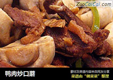 鸭肉炒口蘑