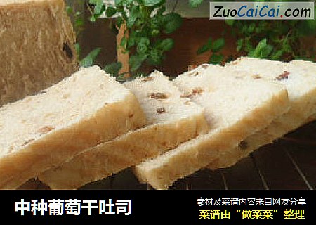 中种葡萄干吐司