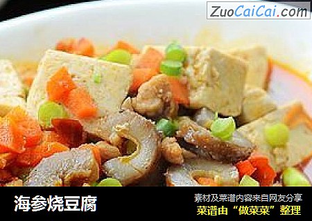 海参烧豆腐