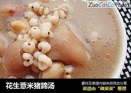 花生薏米猪蹄汤