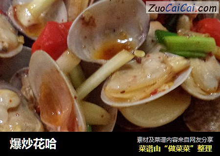 爆炒花哈