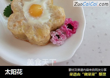 太阳花