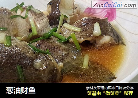 葱油财鱼