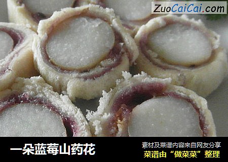 一朵蓝莓山药花
