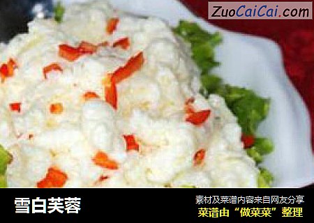 雪白芙蓉