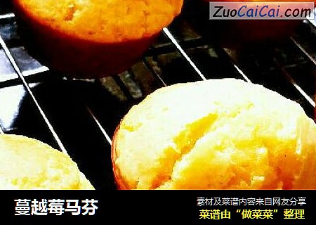 蔓越莓马芬
