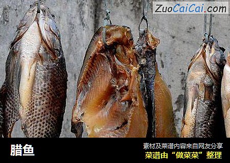 腊鱼