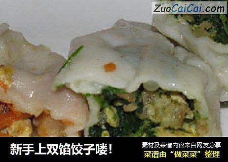 新手上双馅饺子喽！