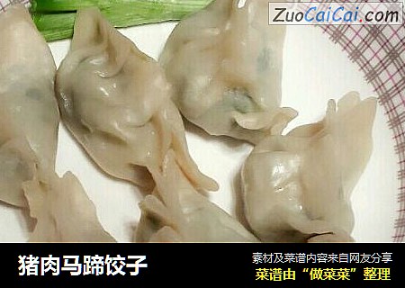 猪肉马蹄饺子