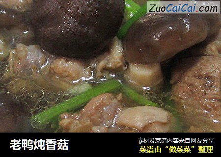 老鸭炖香菇