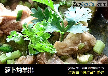 萝卜炖羊排