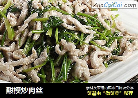 酸模炒肉丝