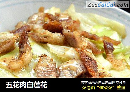五花肉白莲花