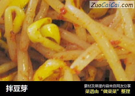 拌豆芽