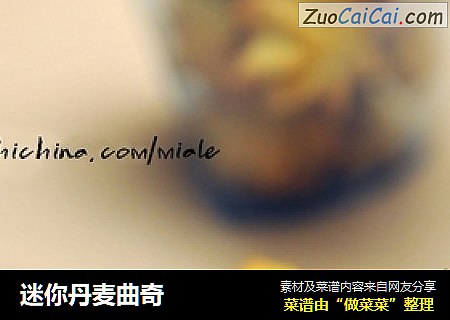 迷你丹麦曲奇