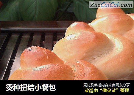 烫种扭结小餐包