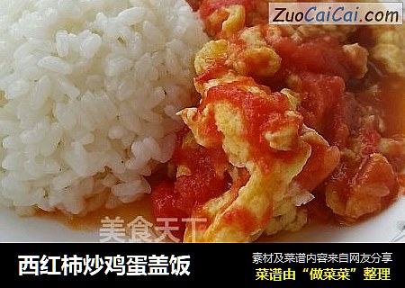 西红柿炒鸡蛋盖饭